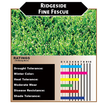 Hillside Fine Fescue – Sod and Seed, Inc.