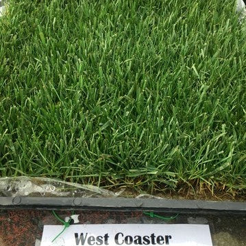 West Coast Turf