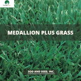 medallion plus fescue sod