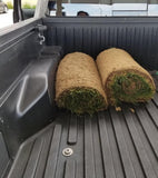 fescue grass roll