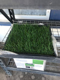 Ryegrass Sod